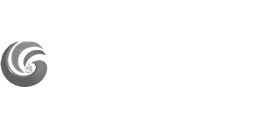 Galgotias University