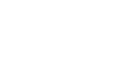 Newton School
